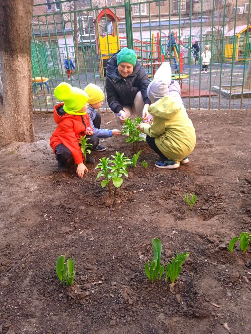 Воспитанники МБДОУ N73, группы «Звездочки» и «Почемучки» каждый год весной высаживают на своем участке совместно с педагогами деревья, кустарники и цветы.