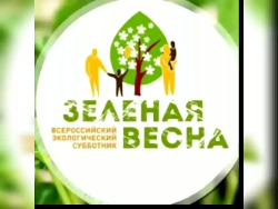 С 20 апреля по 25 мая в Ростове состоится XI экологический субботник «Зеленая Весна – 2024».